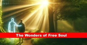 The Wonders of Free Soul