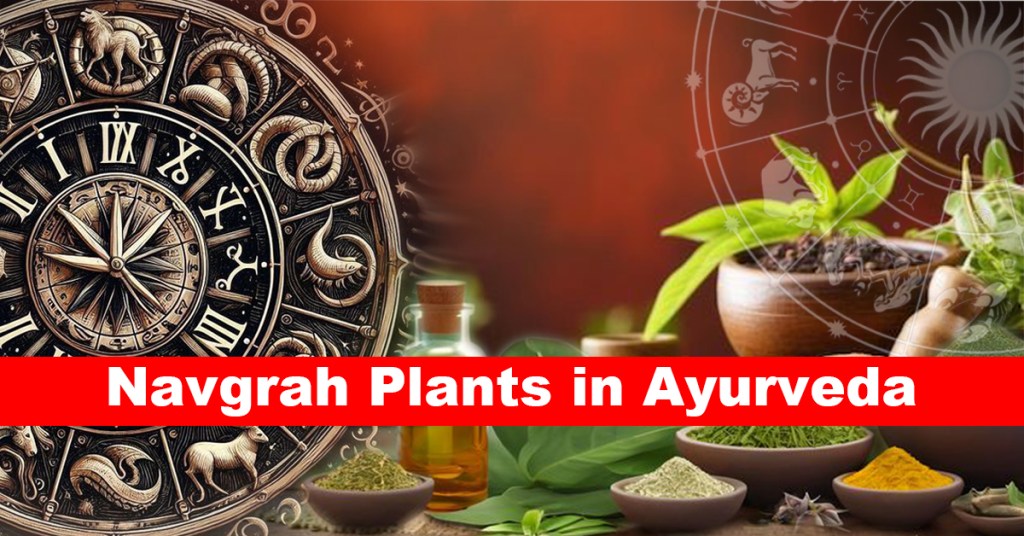 Navgrah Plants in Ayurveda